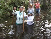 Swamp walk adventure at Big Cypress Gallery