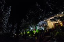 Annual Christmas Tree Lighting at Cameron Highlands Resort