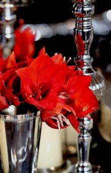 北京诺金酒店 绚烂与冬季