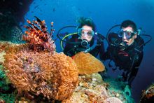 Diving the Great Barrier Reef