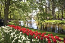 Keukenhof Gardens