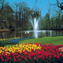 Keukenhof Gardens