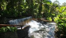 Tabacon Hot Springs