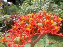 Birds & Wildlife of Sri Lanka