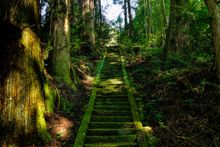 Gardens Of Japan