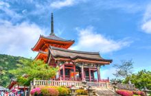Gardens Of Japan