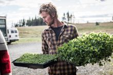 There are many options for farm-field-to-farm-table dining in Maine.