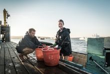 Nonesuch Oyster Co. in Scarborough, Maine