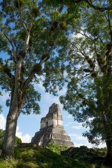 Tikal National Park