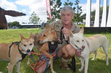 Fraser Coast wildlife Sanctuary curator Ray Revill with dingoes Kora, Wondai and Spirit.