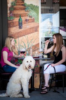 Tualatin Valley is a dog-friendly destination, located just outside of Portland. Dogs are welcome at many establishments, especially at many restaurants with outdoor seating. 