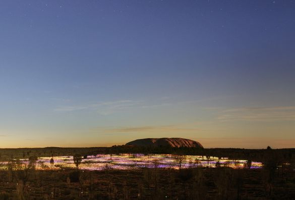 Field of Light Uluru extended to 31 December 2020