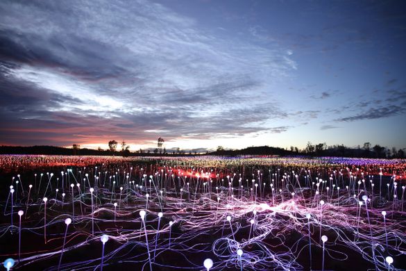 Field of Light Uluru extended to 31 December 2020