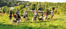 Husky hike in the Perche