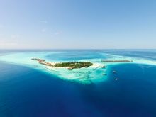 Image of Constance