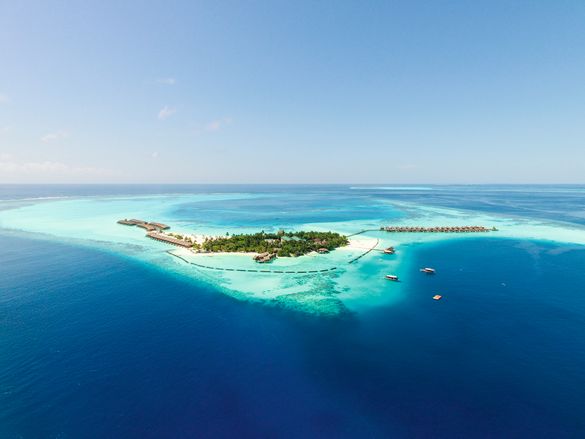 Image of Constance