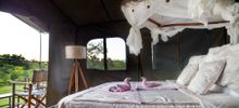 Bush Rover bed image