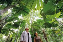 Venture Deeper Upper Gorge Tours