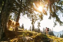 MTB