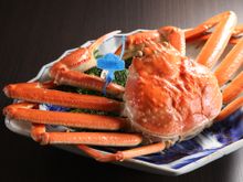 Matsuba Crab