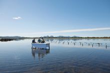 Saffire Signature Experiences: Dining at the Freycinet Marine Oyster Farm - Saffire Freycinet