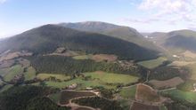 Carmine Estate