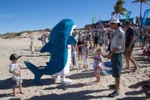 Ningaloo Whale Shark Festival