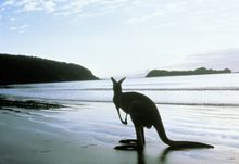 Luxury Lodges of Australia showcases the distinctly Australian era of experiential luxury travel