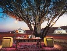 Desert Camp