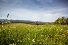Einer der besten Weitwanderwege Deutschlands- KAMMWEG ERZGEBIRGE -VOGTLAND