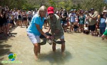 Jennie Gilbert, pictured with Bob Irwin, releases a turtle on the Great Barrier Reef.
