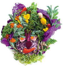 Food Faces by Rudi Sodamin, Master Chef Holland America Line