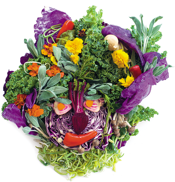 Food Faces by Rudi Sodamin, Master Chef Holland America Line