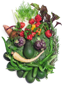 Food Faces by Rudi Sodamin, Master Chef Holland America Line