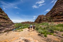 Heli-hiking the Beehive domes of Purnurnulu National Park