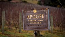 Apogee Cellar Door