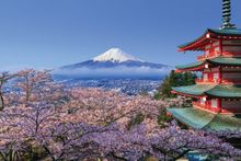 Mount Fuji