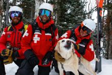 Avalanche puppy and handlers, Park City Mountain
