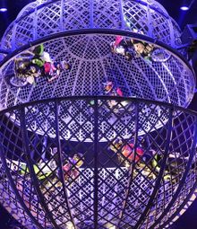 圖片說明：夢幻巴黎歌舞表演將於2018年3月16日至6月17日首次駕臨澳門巴黎人的巴黎劇場，為觀眾帶來集驚險刺激、喜劇及華麗元素於一身的精彩表演。