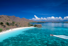 Indepth Voyages Zodiac Tours