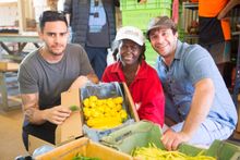 Carnarvon Vegetable packing plant