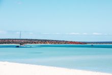 Monkey Mia Beach Resort