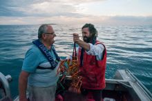 Flinders Island Crayfish Festival