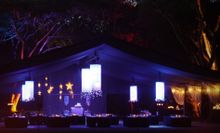 The newly renovated Flames of the Forest in the Daintree Rainforest