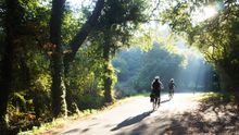 Cycling the Camino de Santiago 