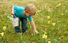 Easter egg hunt