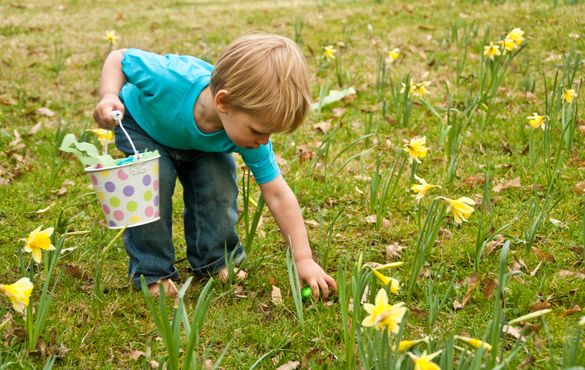 Easter egg hunt