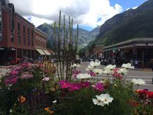 Telluride