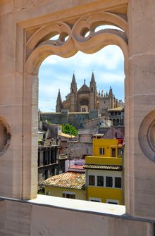Palma 