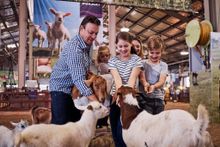 Farmyard Nursery at the Sydney Royal Easter Show